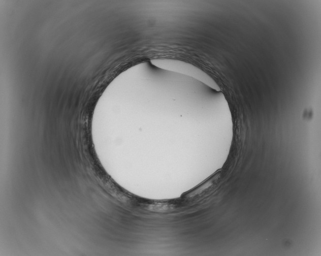 X0000110740225200907131128