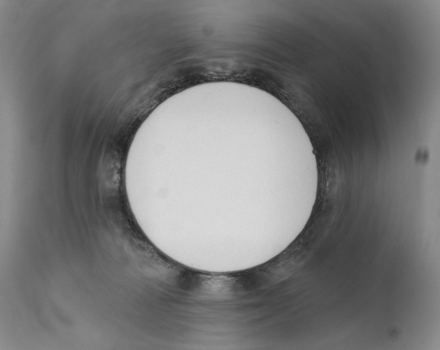 X0000110740226200907131128