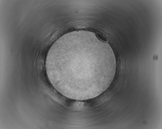 X0000110740227200907131128