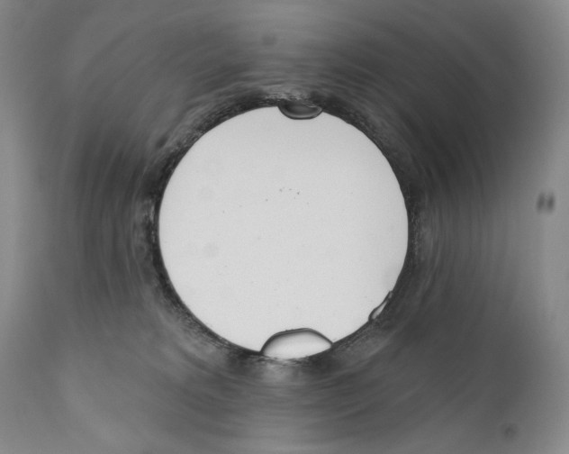 X0000110740229200907131128