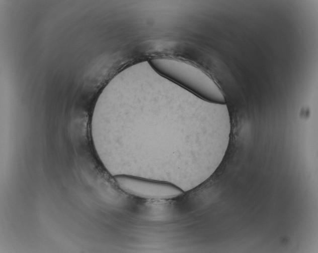 X0000110740231200907131128