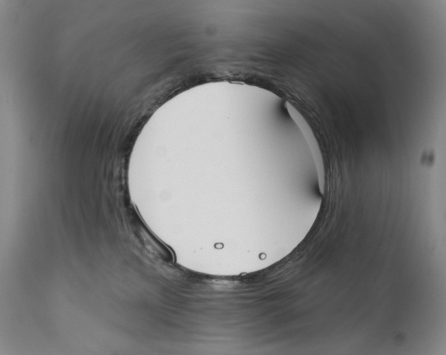 X0000110740233200907131128