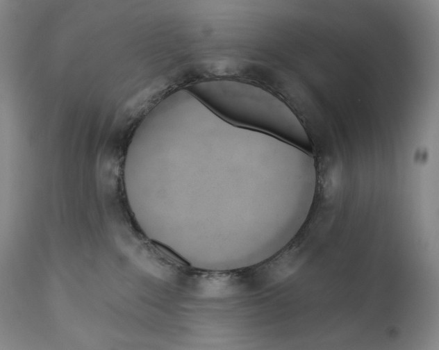 X0000110740235200907131128
