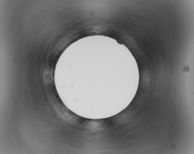 X0000110740236200907131128