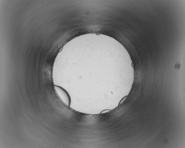 X0000110740238200907131128