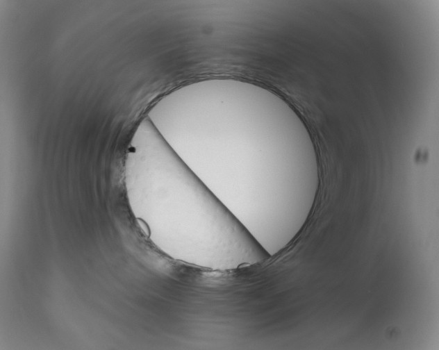 X0000110740240200907131128