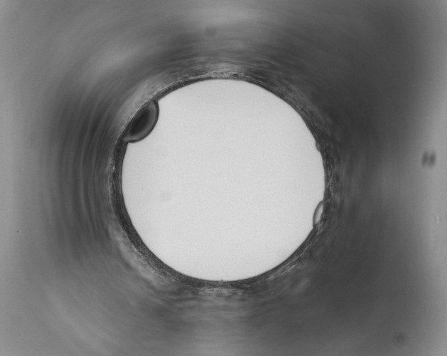 X0000110740242200907131127