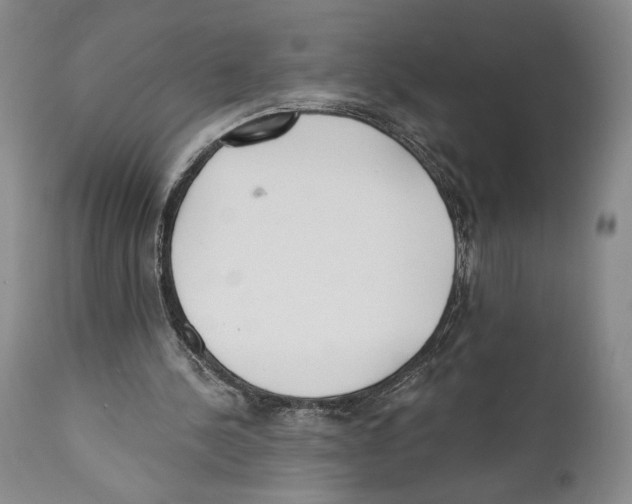 X0000110740244200907131127