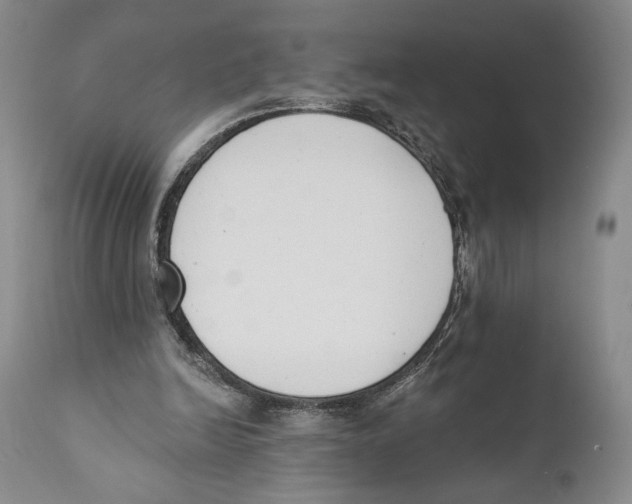 X0000110740246200907131127