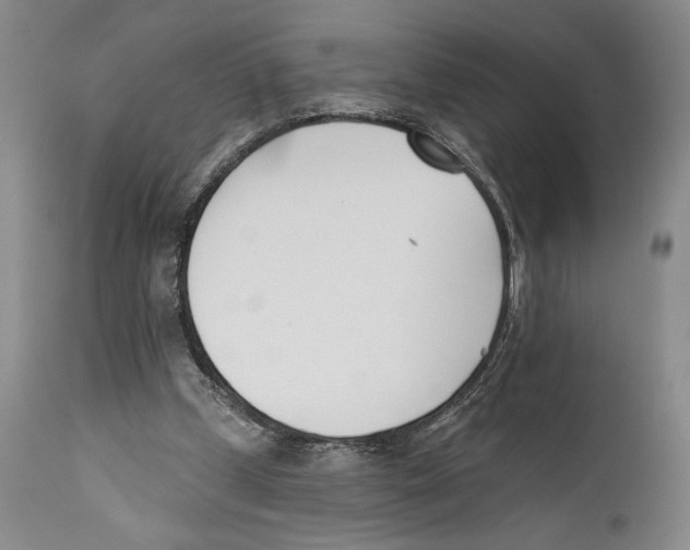 X0000110740249200907131127