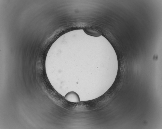 X0000110740256200907131127