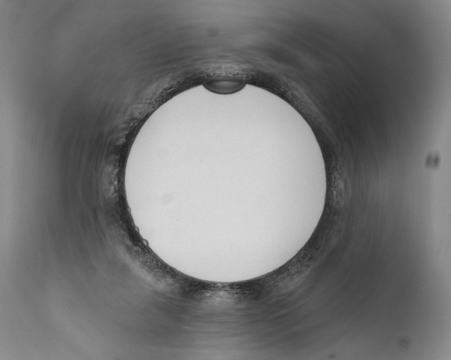 X0000110740259200907131127