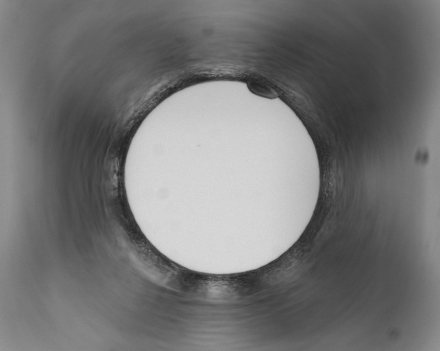X0000110740264200907131127