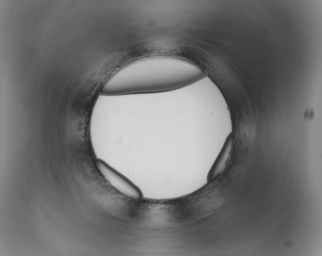 X0000110740268200907131127