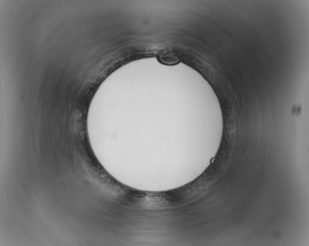 X0000110740270200907131127