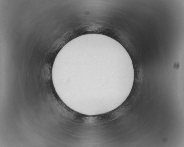 X0000110740273200907131127