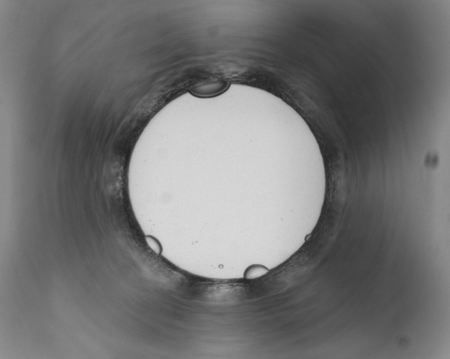 X0000110740274200907131127