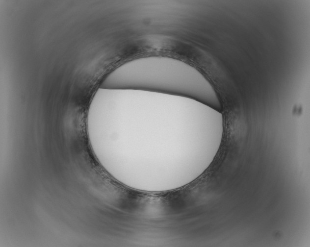 X0000110740276200907131128