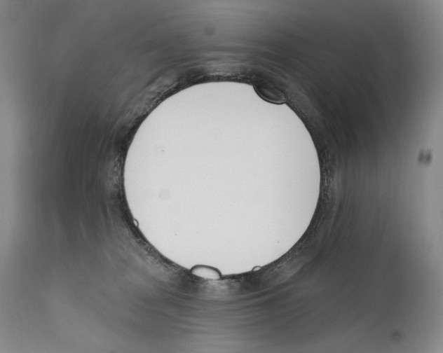 X0000110740277200907131128