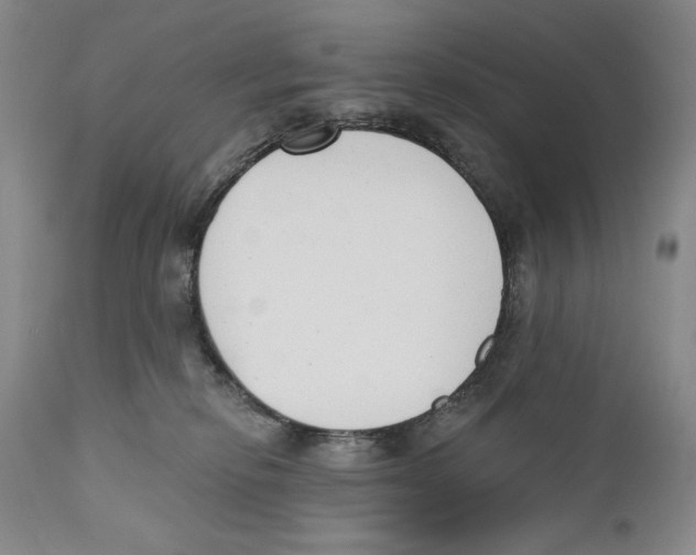X0000110740278200907131128