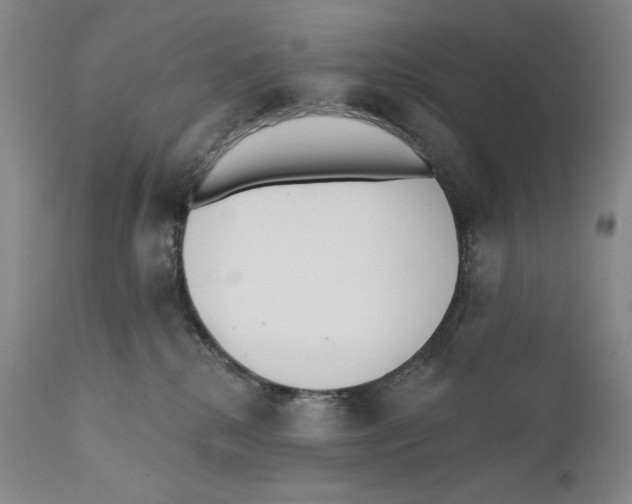 X0000110740280200907131128
