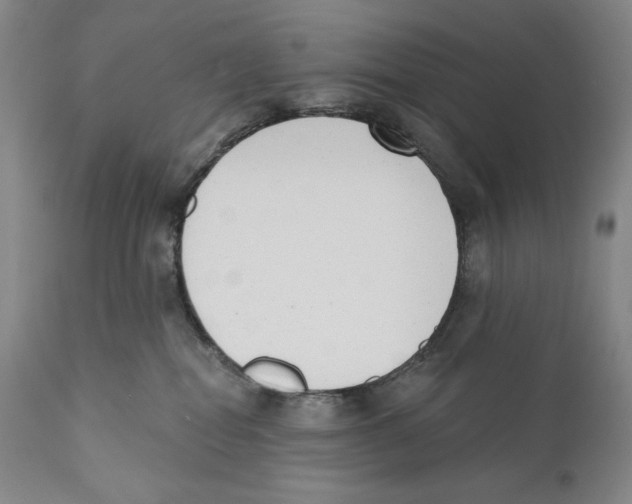 X0000110740282200907131128