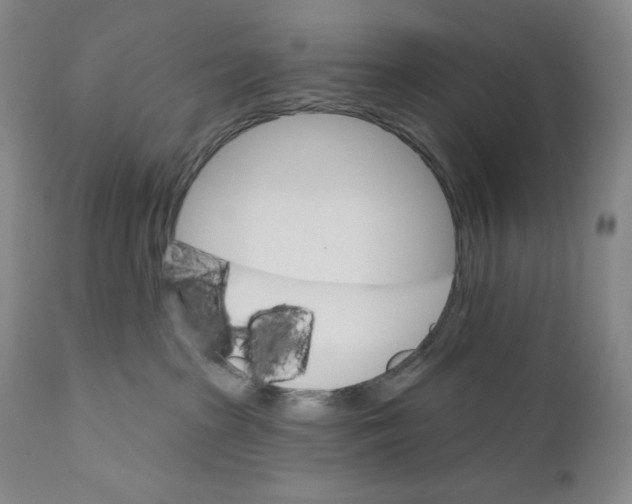 X0000110740285200907131128