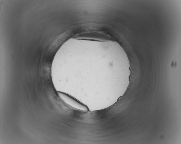 X0000110740288200907131128