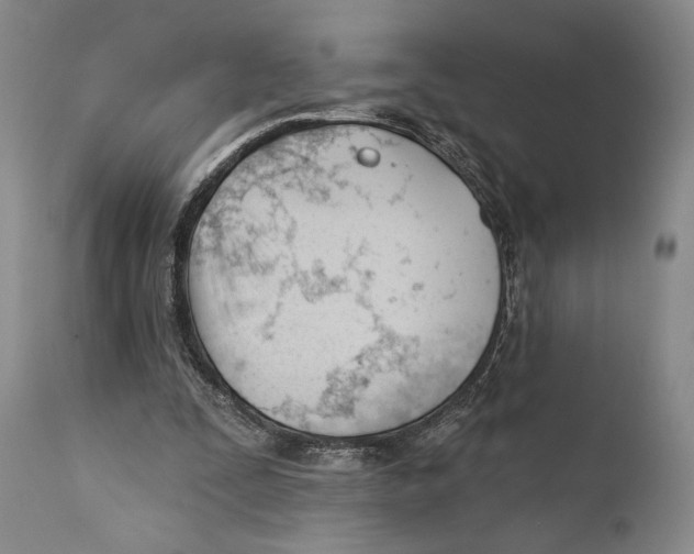 X0000110740295200907131127