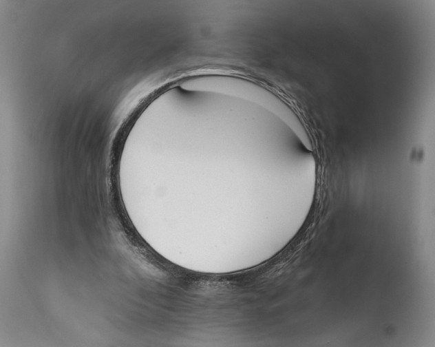 X0000110740296200907131127