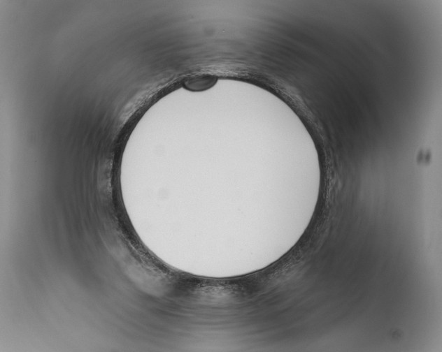 X0000110740299200907131127