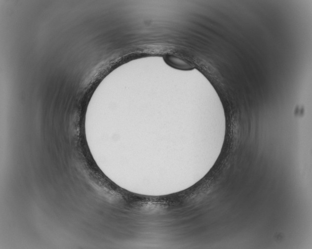 X0000110740303200907131127