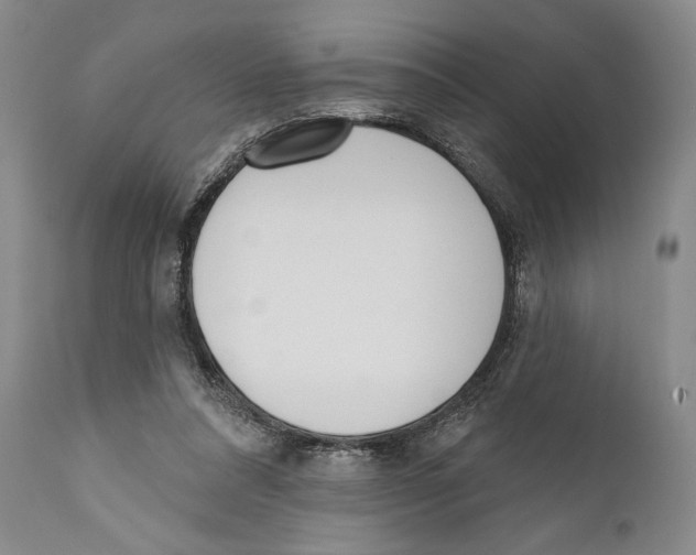 X0000110740304200907131127