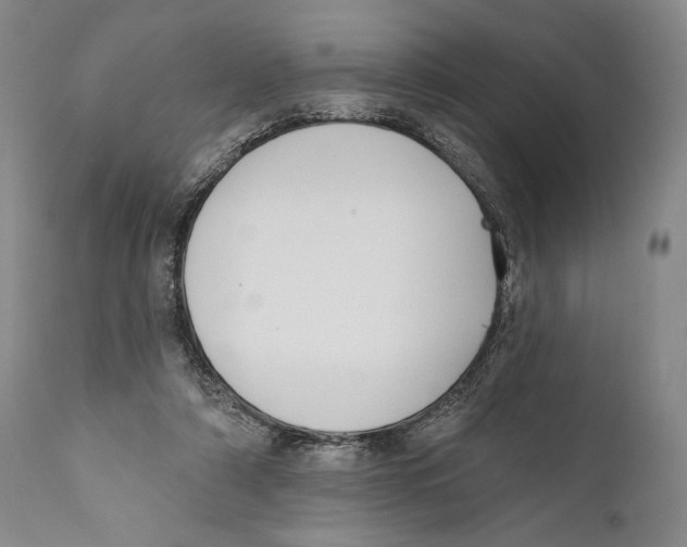 X0000110740306200907131127