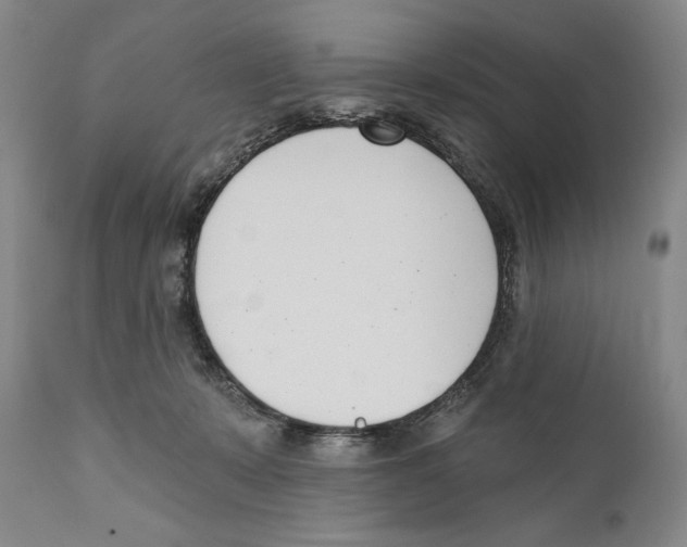 X0000110740319200907131127