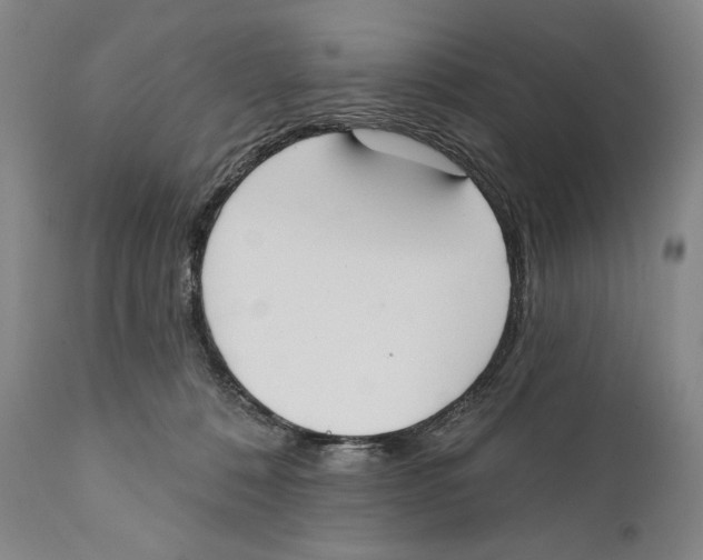 X0000110740320200907131127