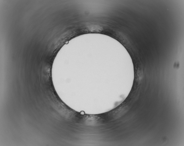 X0000110740321200907131127