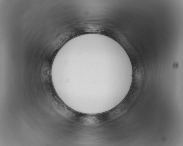 X0000110740322200907131127