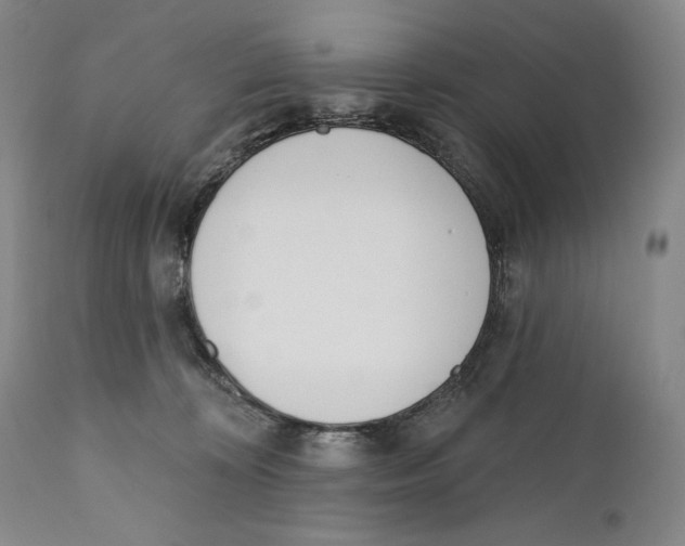X0000110740324200907131127