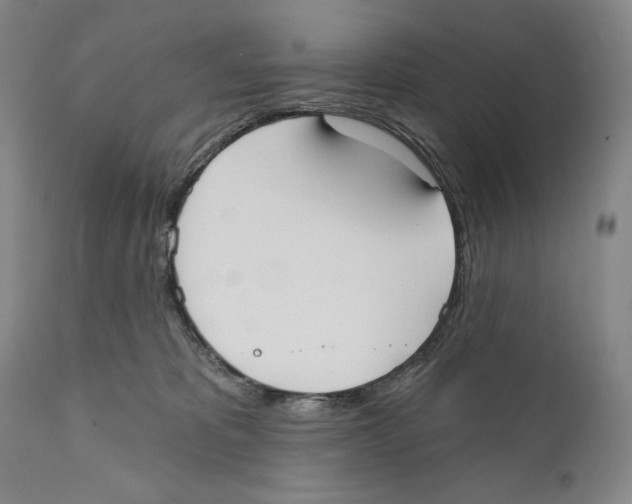 X0000110740325200907131127