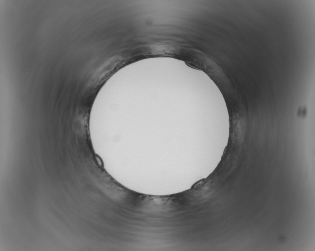 X0000110740329200907131126