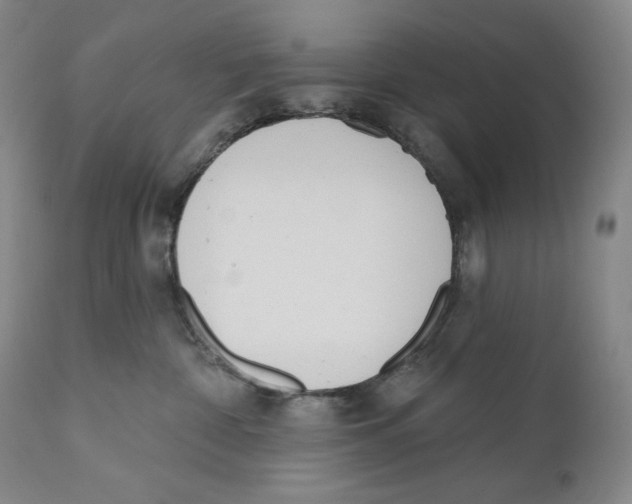 X0000110740332200907131126
