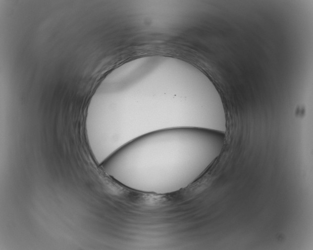 X0000110740333200907131126