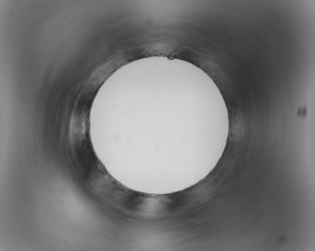 X0000110740334200907131126