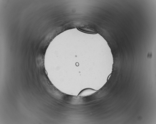 X0000110740335200907131126
