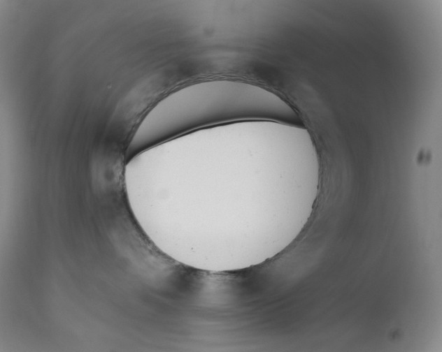 X0000110740336200907131126