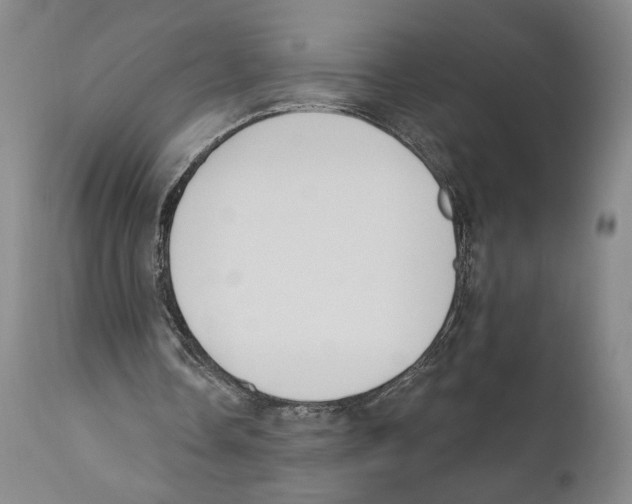 X0000110740338200907131126