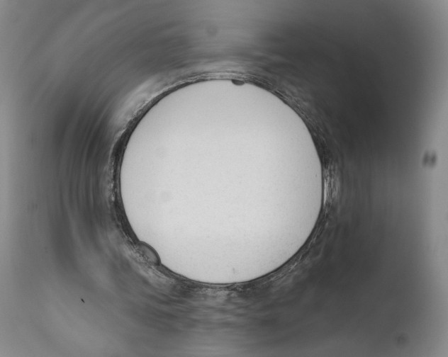 X0000110740339200907131126