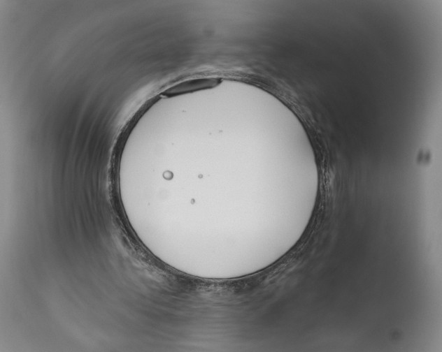 X0000110740340200907131126