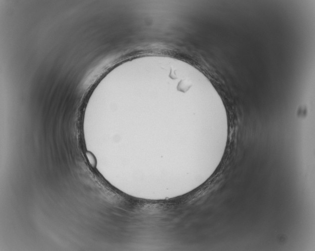 X0000110740341200907131126